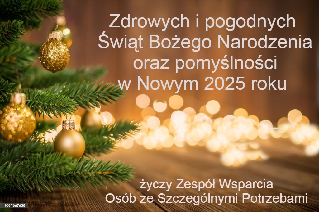 Zdrowych i pogodnych  Świąt Bożego Narodzenia oraz pomyślności w Nowym 2025 roku życzy Zespół Wsparcia Osób ze Szczególnymi Potrzebami